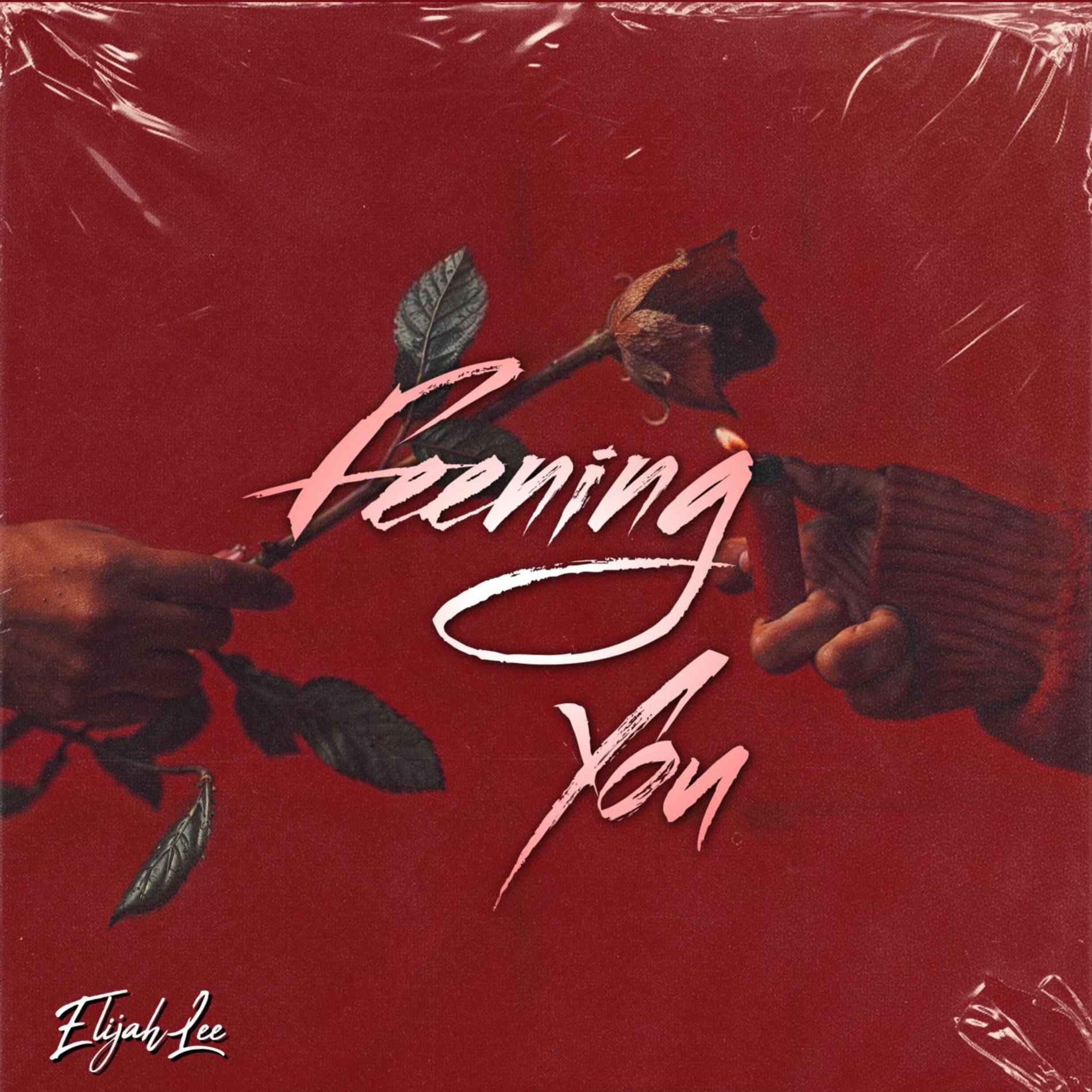 Album cover of Feening You