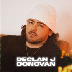 Cover of Declan J Donovan