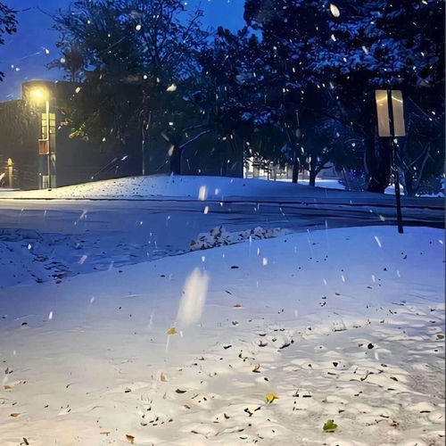 雪下不到的南方