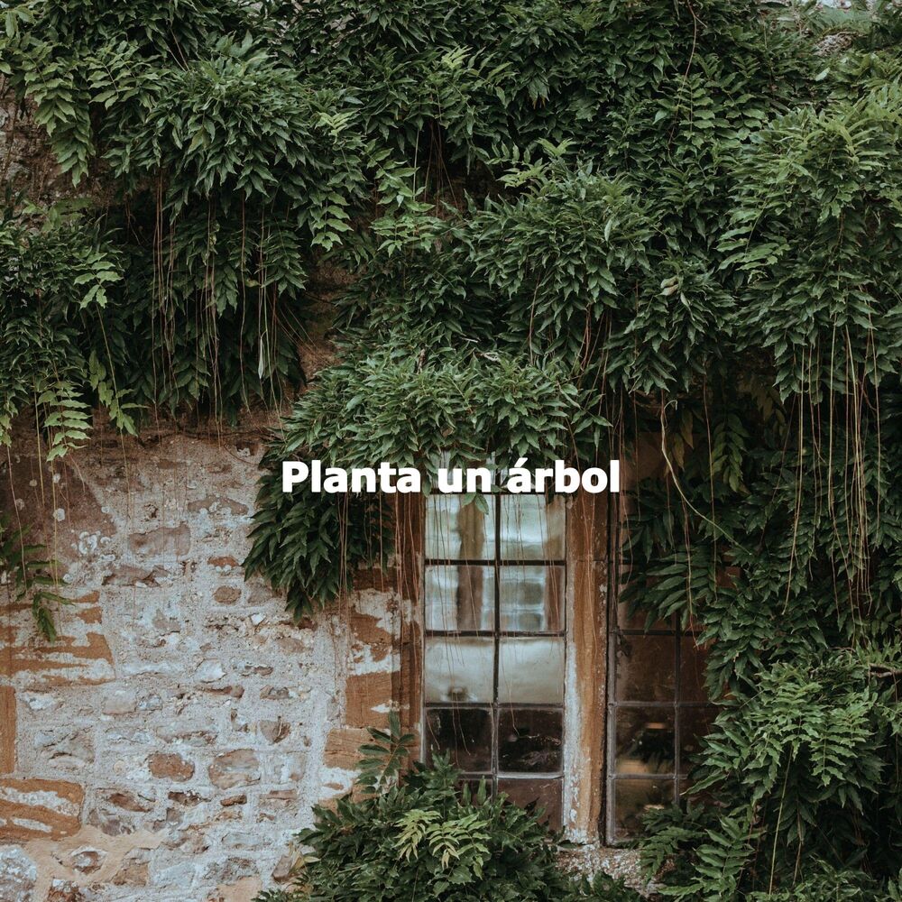 Picture of Planta un árbol