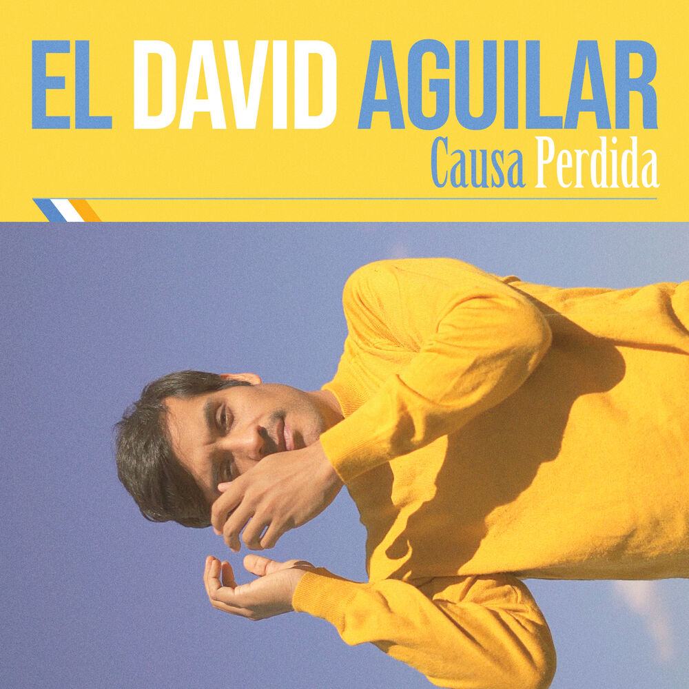 Picture of Causa Perdida