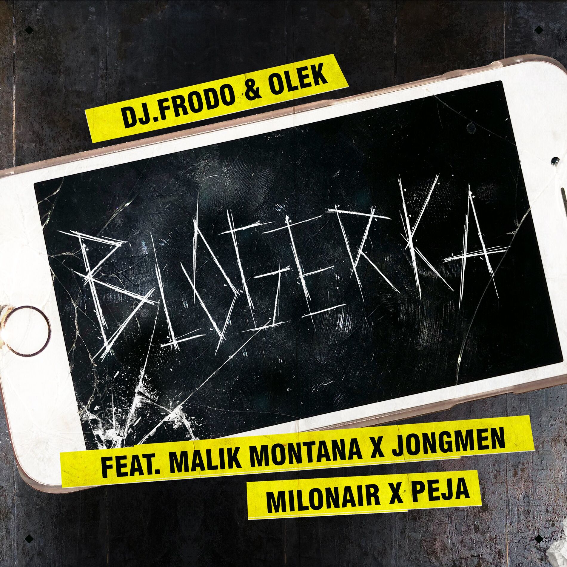 Album cover of Blogerka