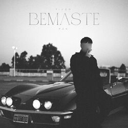 Cover of Bemaste