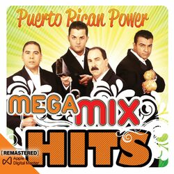 Cover of Mega Mixhits