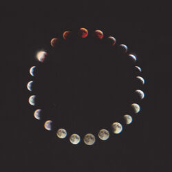 Cover of Live To Vinyl