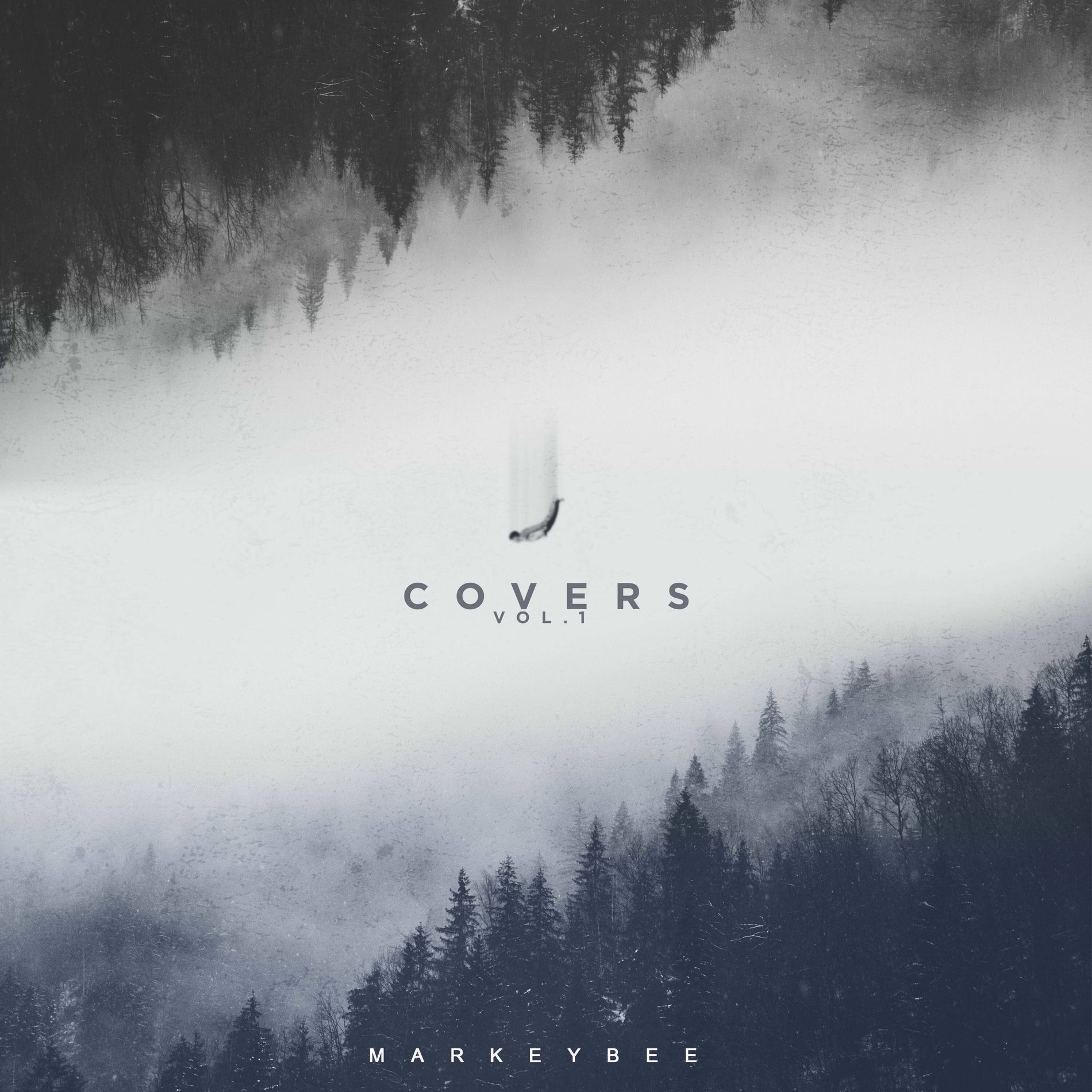 Album cover of Covers, Vol. 1