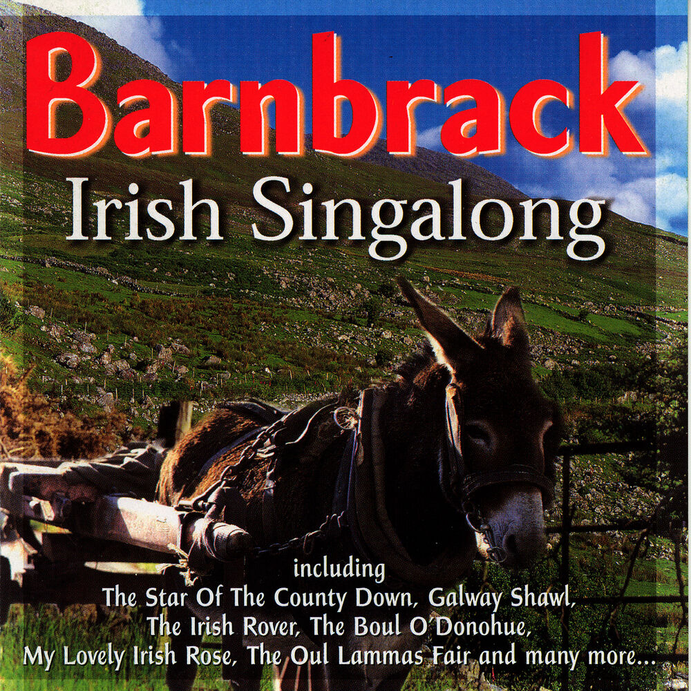 Picture of Irish Singalong