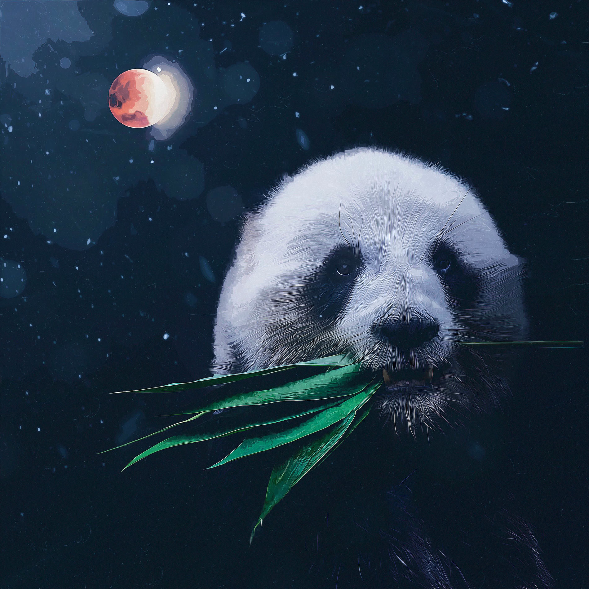 Album cover of sleepy panda