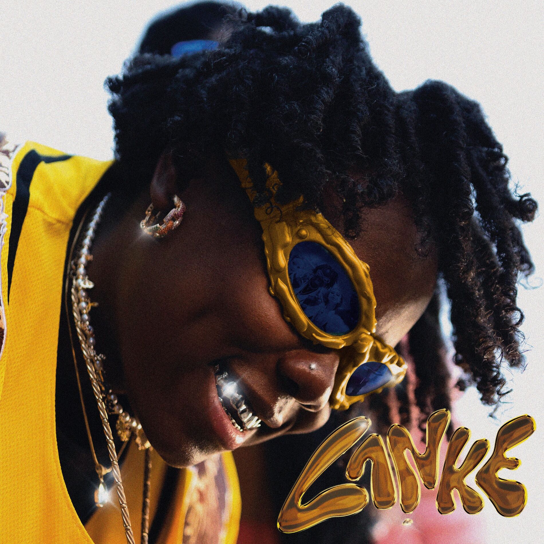 Album cover of Lanke