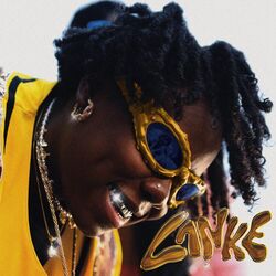 Cover of Lanke