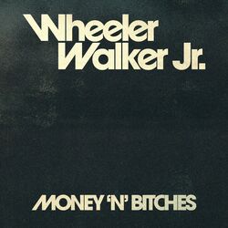 Cover of Money 'N' Bitches