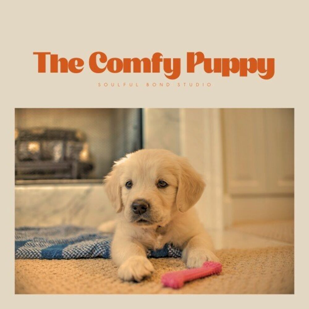 Picture of The Comfy Puppy