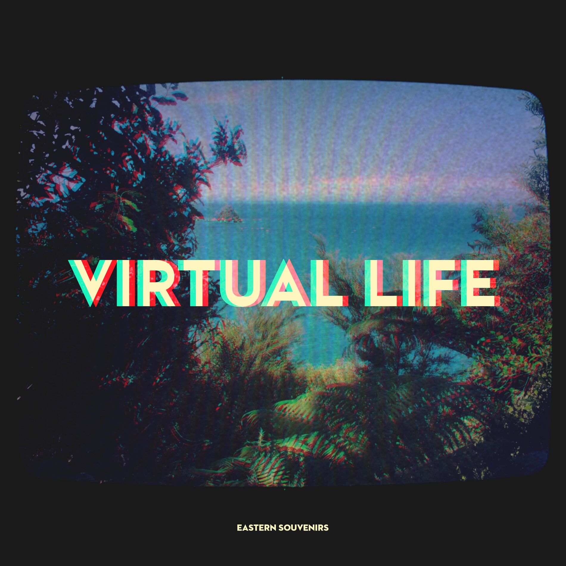 Album cover of Virtual Life