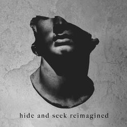 Cover of Hide and Seek Reimagined