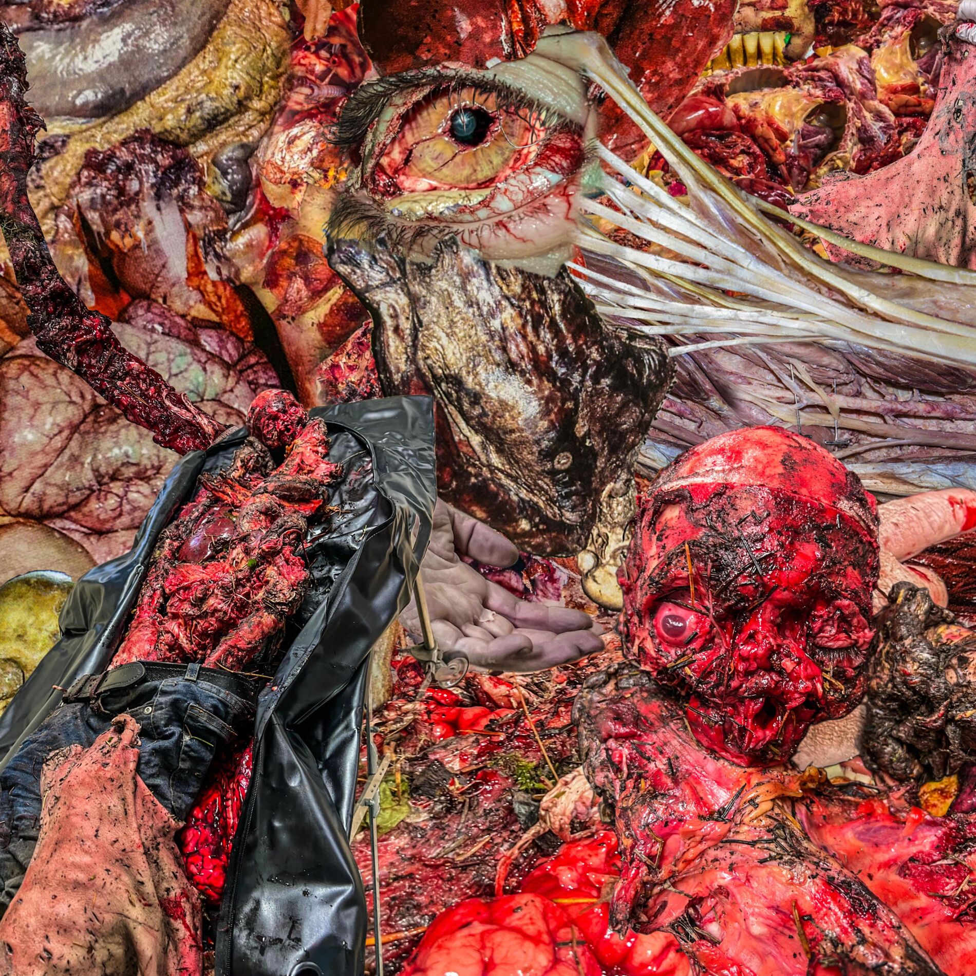 Album cover of 2