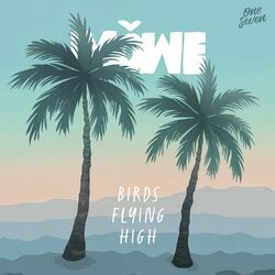 Cover of Birds Flying High