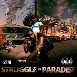 Cover of Struggle In Paradise