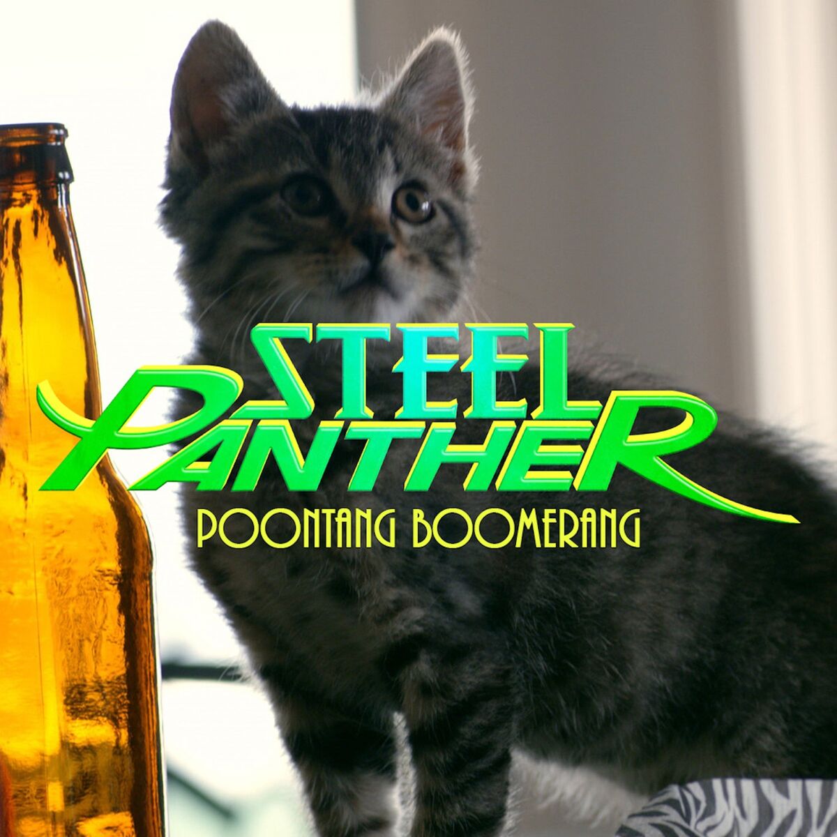 Album cover of Poontang Boomerang