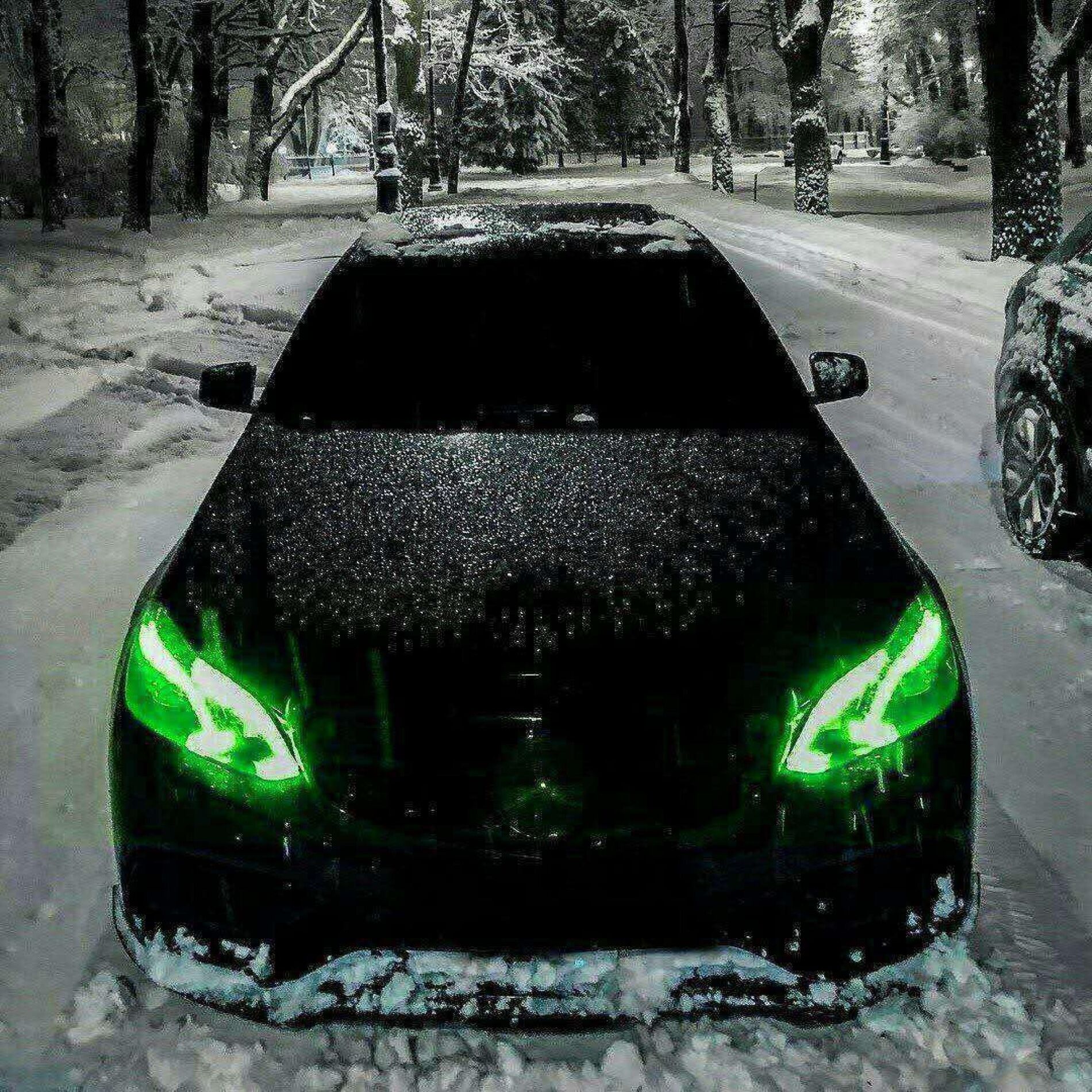 Album cover of New