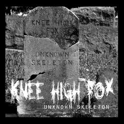Cover of Unknown Skeleton