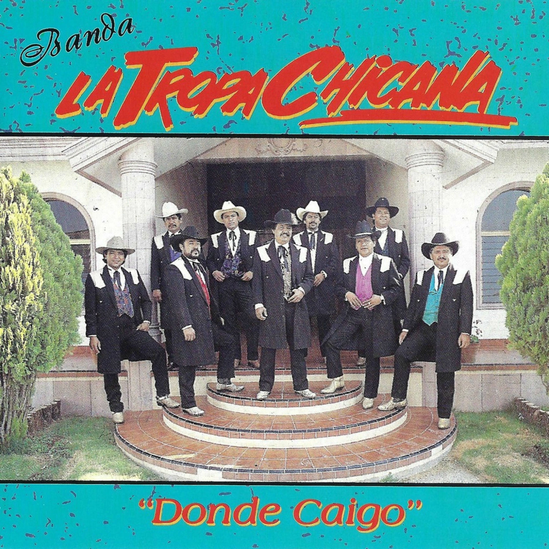 Album cover of Donde Caigo