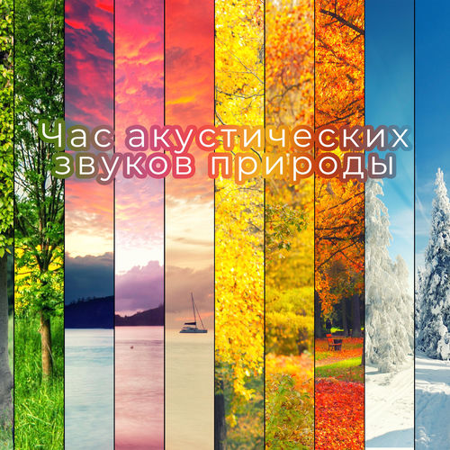 Час акустических звуков природы: Для сна, Йоги, Рейки, Медитации, Натуральное расслабление, Спа и баня музика, Спокойная музыка от