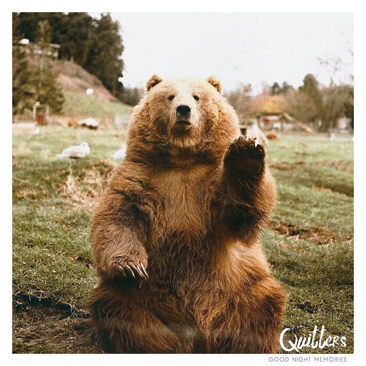 Album cover of Sweet Memories