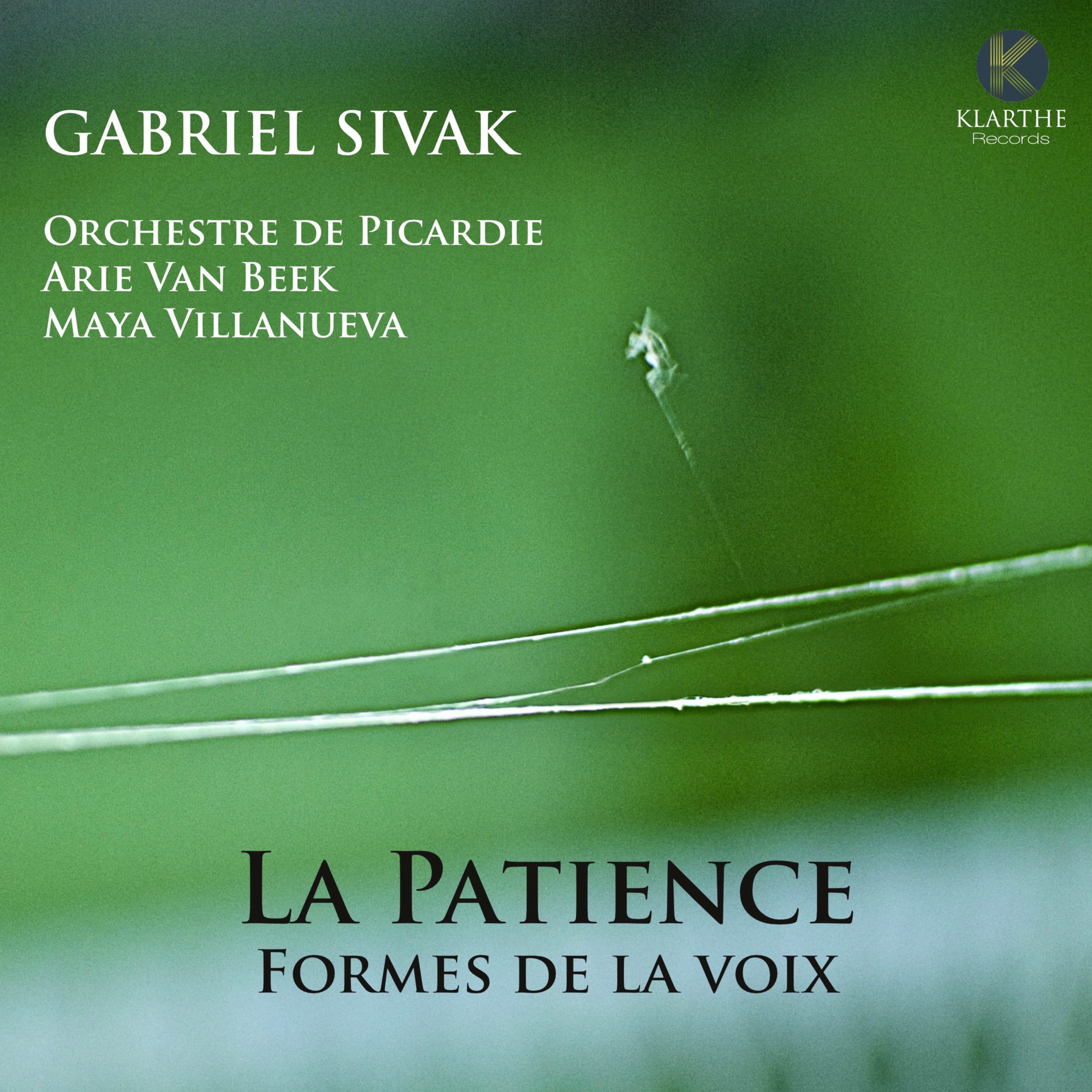 Album cover of Berceau de nuit