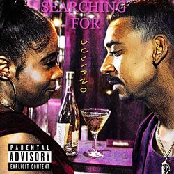 Cover of Searching For