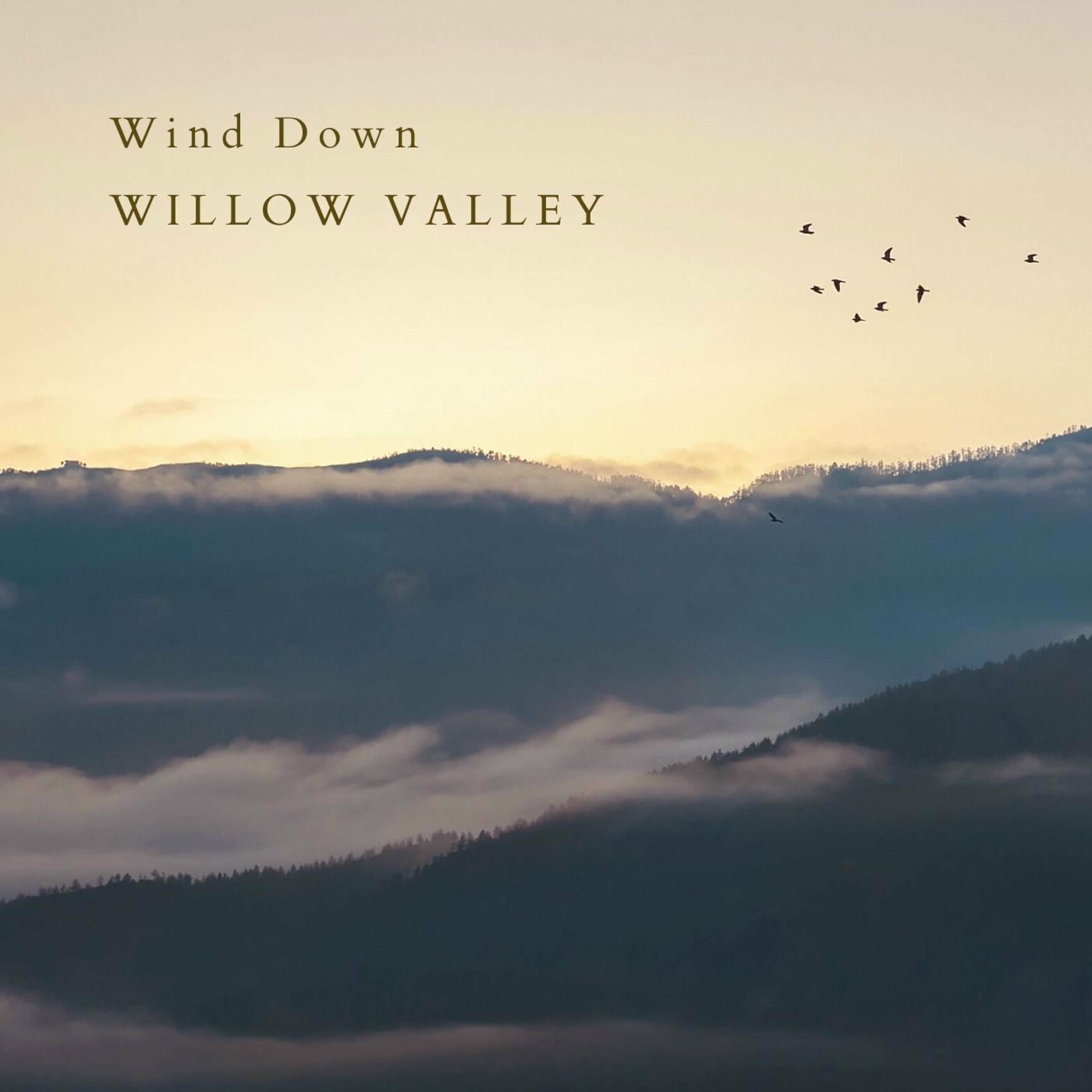 Album cover of Wind Down (Violin Version)