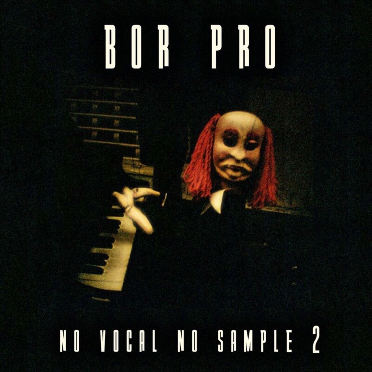 Album cover of No Vocal No Sample (2)