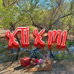 Cover of X Ti X Mi