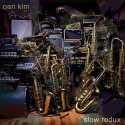 Cover of Slow Redux