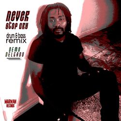 Cover of Never Stop Cry (feat. Ganjah Burn Fyah)