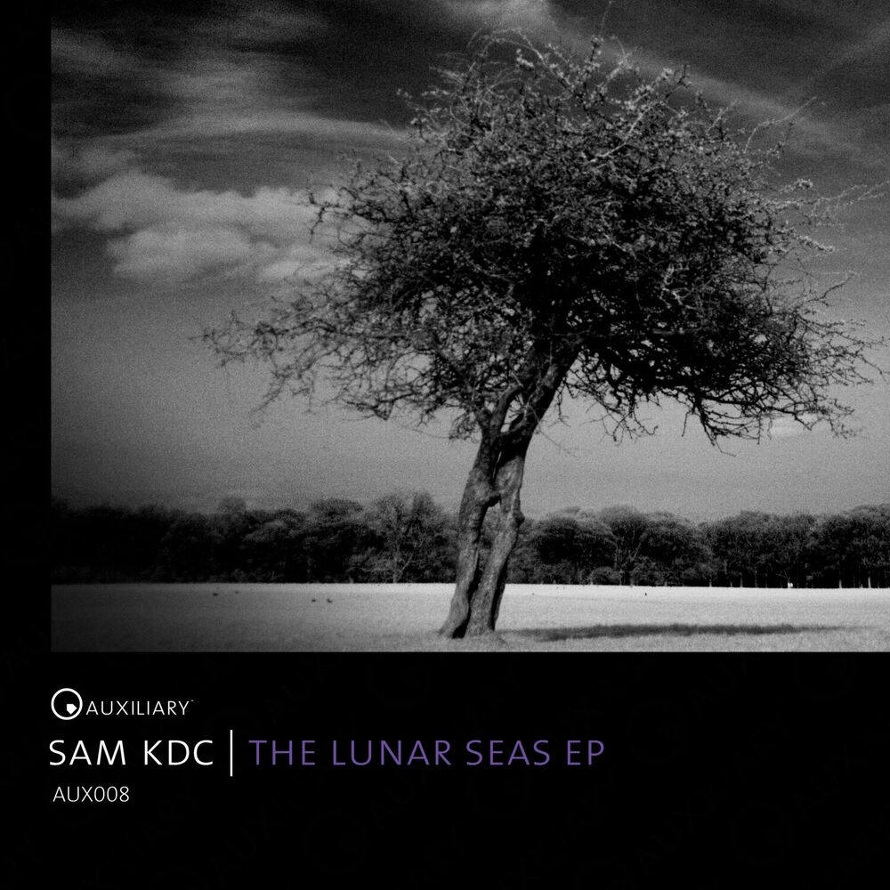 Picture of The Lunar Seas EP