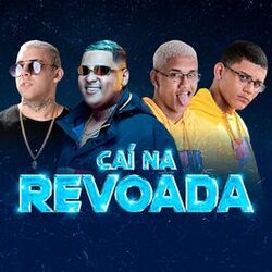Cover of Caí na Revoada