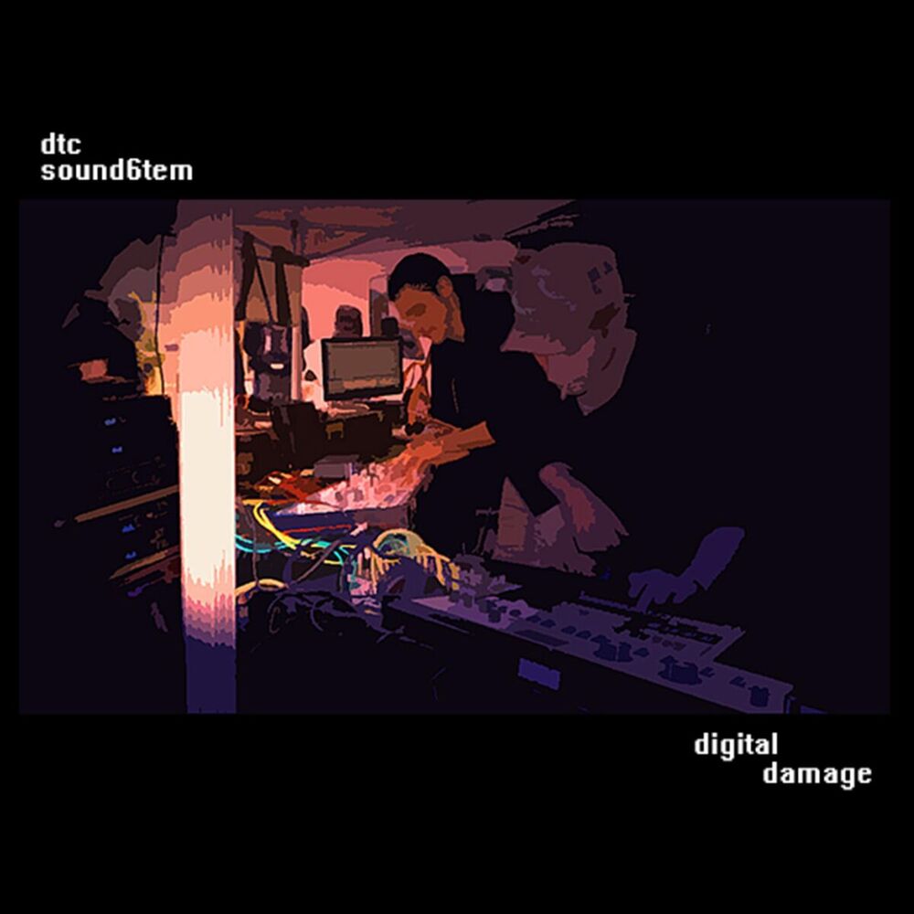 Picture of Digital Damage