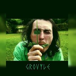 Cover of Grovyle