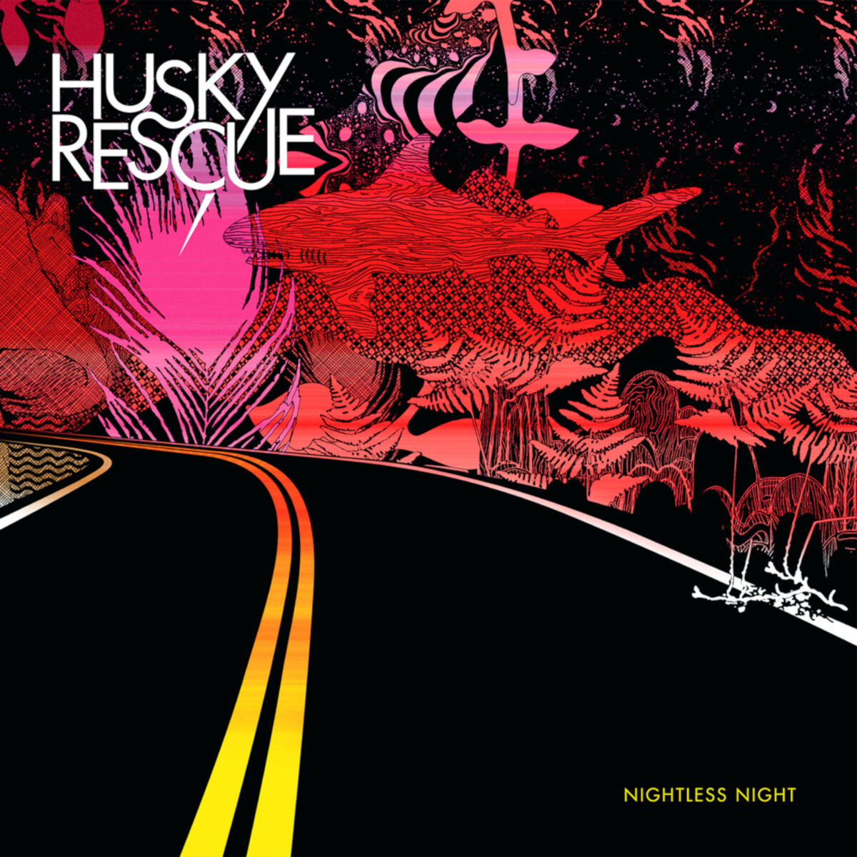 Album cover of Nightless Night