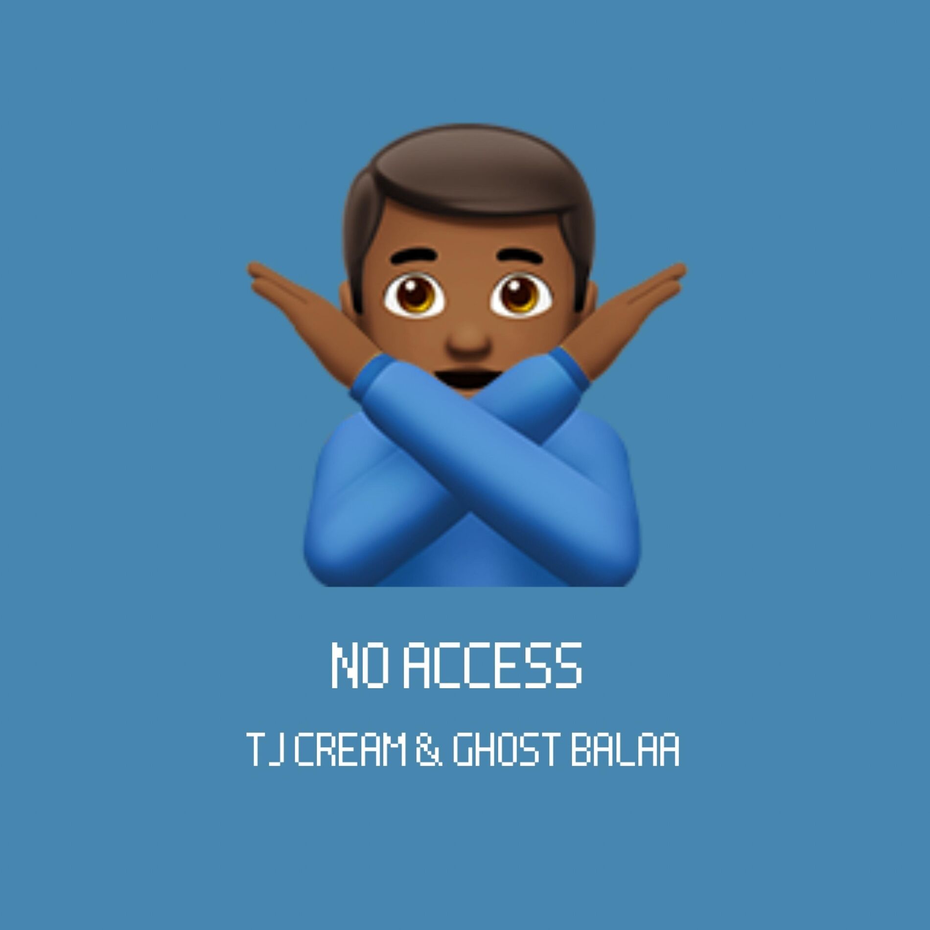 Album cover of No Access