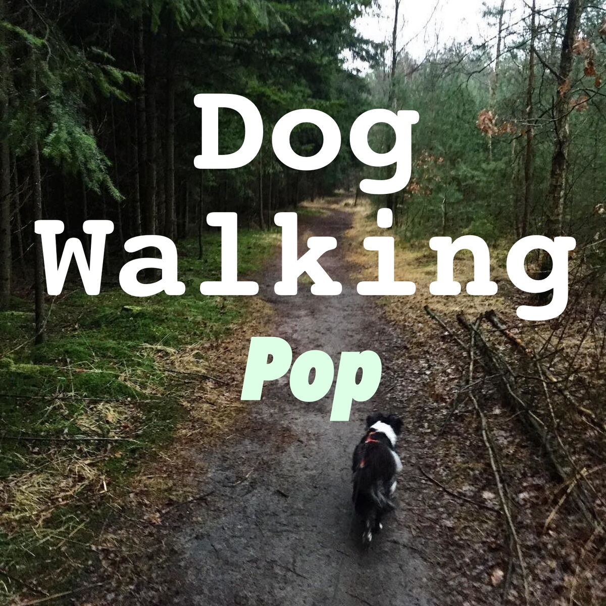 Album cover of Dog Walking Pop