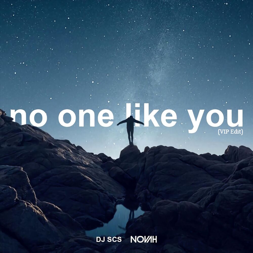 Picture of No One Like You (VIP Edit)