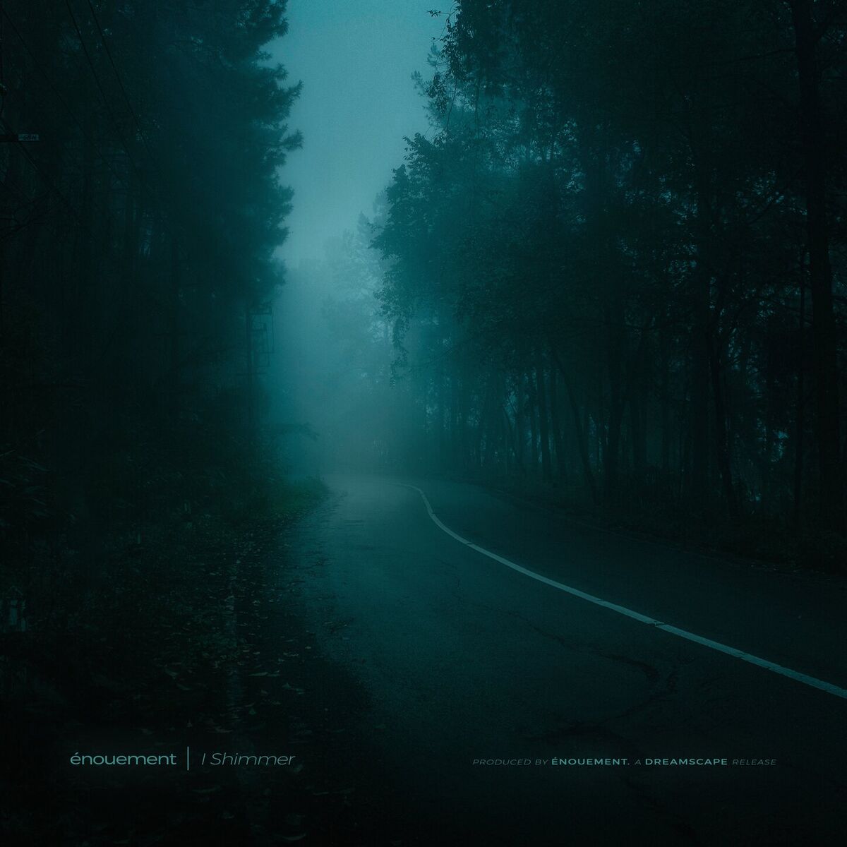 Album cover of I Shimmer