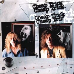 Cover of Busted