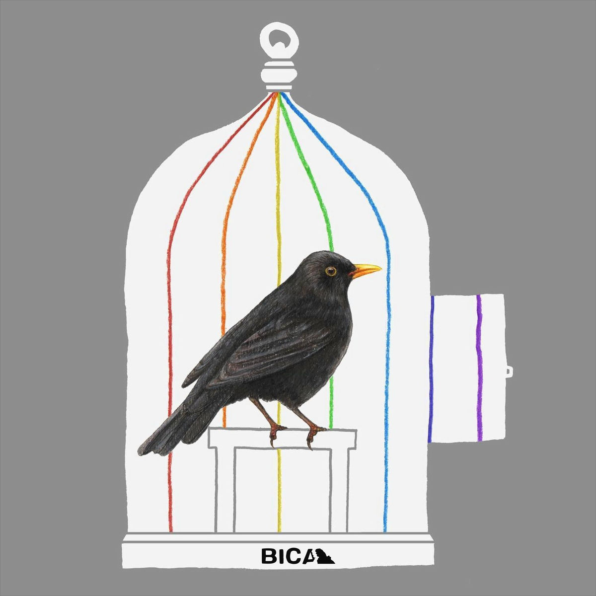 Album cover of Deryn Du (FRMAND Remix)