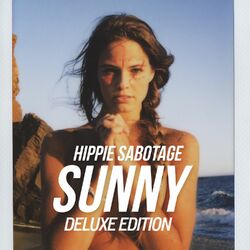 Cover of The Sunny Album (Deluxe Edition)