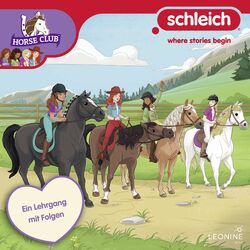 Cover of Folge 28: Ein Lehrgang mit Folgen