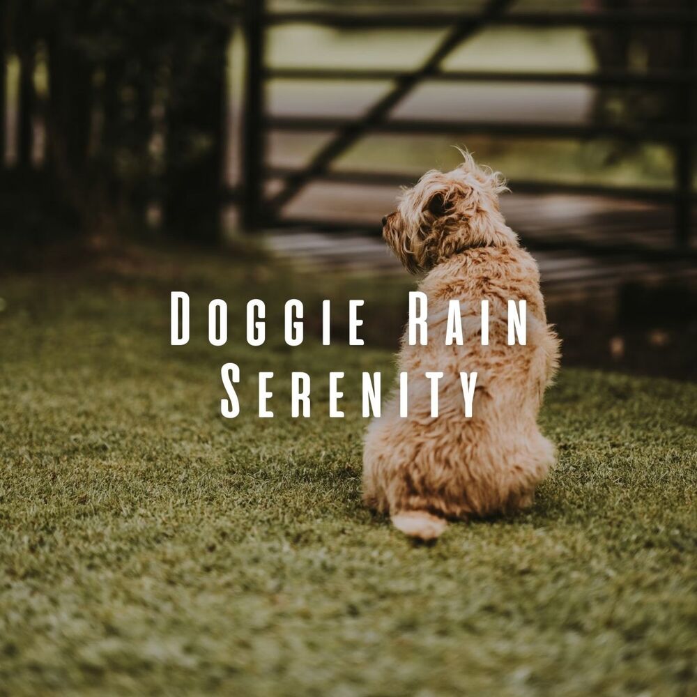 Picture of Doggie Rain Serenity: Chill Music with Serene Water Sounds