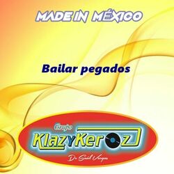 Cover of Bailar Pegados
