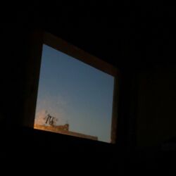 Cover of Blind